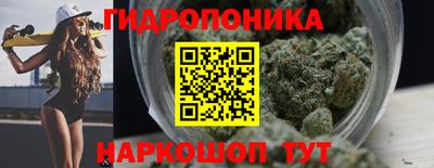 ГАЛЛЮЦИНОГЕННЫЕ ГРИБЫ Камышлов