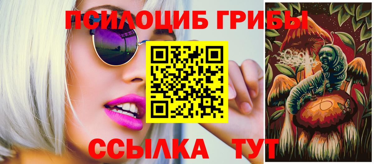 Галлюциногенные грибы мицелий Красный Сулин